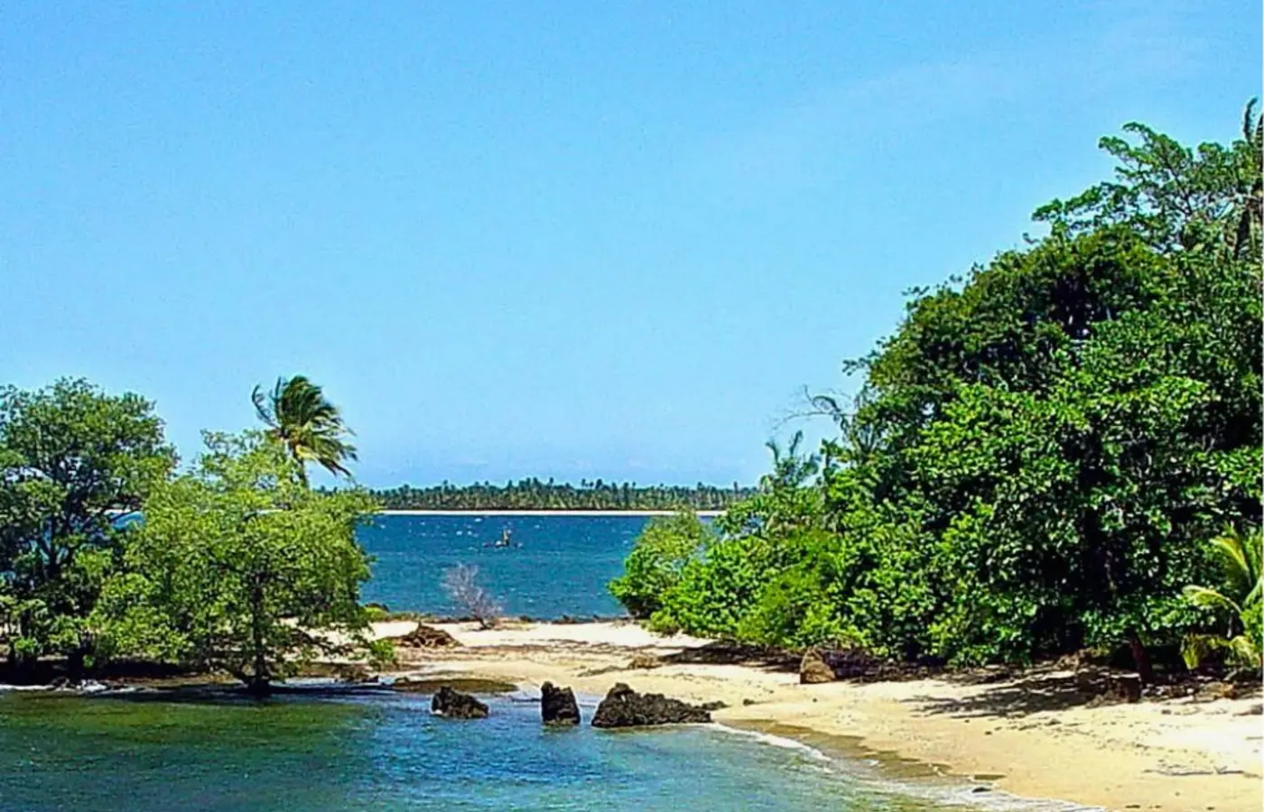 Praia e vegetação da Ilha Grande